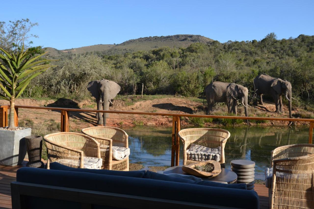Barefoot Addo Elephant Lodge Екстериор снимка